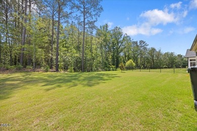 Welcome to 248 Falls Village Drive -- a stunning like-new home - photo 41