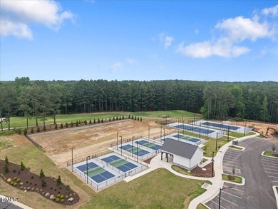 Welcome to 248 Falls Village Drive -- a stunning like-new home - photo 43