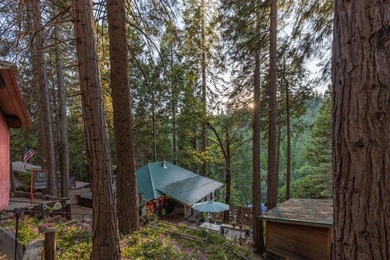 Income-Producing Mountain Retreat Near YosemiteTucked among the - photo 45
