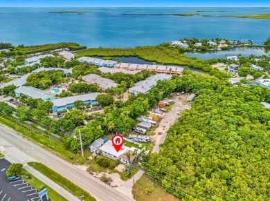 INCREDIBLE OPPORTUNITY! 125 feet of Road frontage on Overseas - photo 1