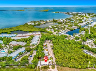 INCREDIBLE OPPORTUNITY! 125 feet of Road frontage on Overseas - photo 3
