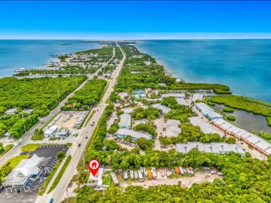 INCREDIBLE OPPORTUNITY! 125 feet of Road frontage on Overseas - photo 4