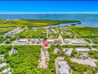 INCREDIBLE OPPORTUNITY! 125 feet of Road frontage on Overseas - photo 6