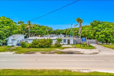 INCREDIBLE OPPORTUNITY! 125 feet of Road frontage on Overseas - photo 8