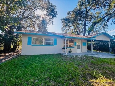 Weeki Wachee River Home For Sale in Weeki Wachee Florida