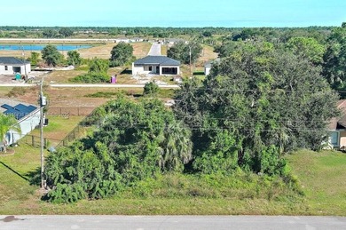 Lehigh Acres Area Lot For Sale in Lehigh Acres Florida
