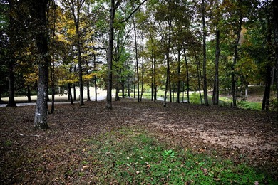 This property features 2 large, custom homes, 51 acres of - photo 15