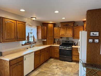 Lake Nokomis living! Look at this 4 bedroom 3 1/2 bath home with - photo 5