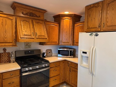 Lake Nokomis living! Look at this 4 bedroom 3 1/2 bath home with - photo 6