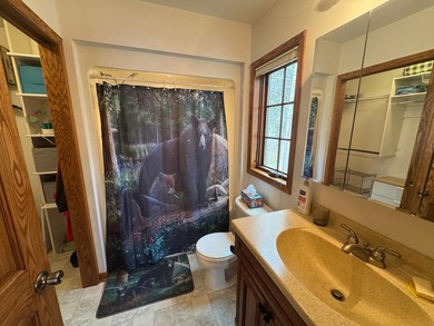 Lake Nokomis living! Look at this 4 bedroom 3 1/2 bath home with - photo 9