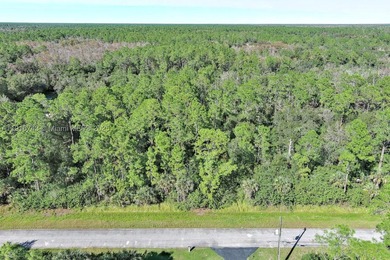 Build your dream home on this beautiful 1.14-acre vacant lot - photo 1