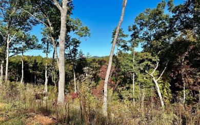 Lake Acreage For Sale in Ellijay, Georgia
