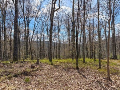 A rare opportunity to own over 150 acres across three parcels in - photo 31