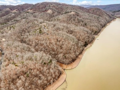 Cherokee Lake Main Channel Lot - photo 13