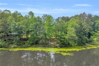 Experience lakefront living at its finest with this exceptional - photo 46