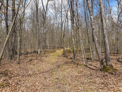 A rare opportunity to own over 150 acres across three parcels in - photo 50