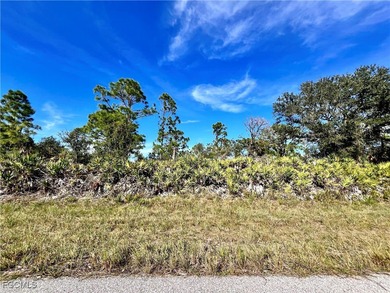 Port Charlotte Waterway Lakes Area Lot For Sale in Port Charlotte Florida