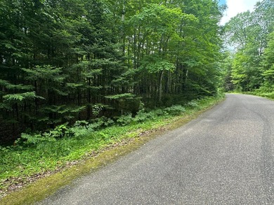 If you're looking for 5+ acres with peace and quiet and privacy - photo 2