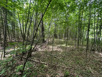 If you're looking for 5+ acres with peace and quiet and privacy - photo 3