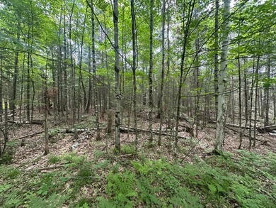 If you're looking for 5+ acres with peace and quiet and privacy - photo 4