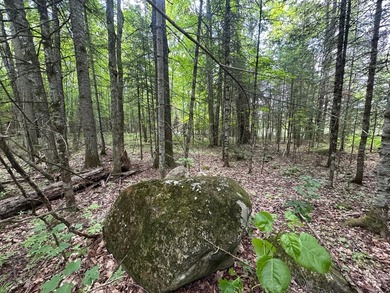If you're looking for 5+ acres with peace and quiet and privacy - photo 6