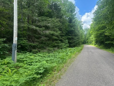 If you're looking for 5+ acres with peace and quiet and privacy - photo 8