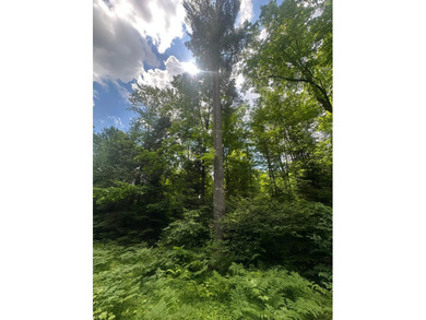 If you're looking for 5+ acres with peace and quiet and privacy - photo 9