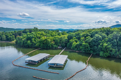 Cherokee Lake Main Channel Lot - photo 27