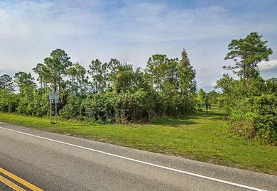 This 6.9 acre lot has an excellent location directly on - photo 2