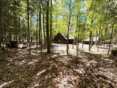 Custom-built Northwoods log sided home offering a rare, fully - photo 5