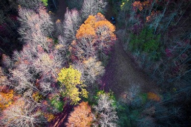 Fontana Lake Lot For Sale in Bryson City North Carolina