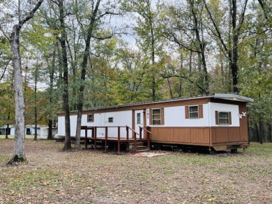 Move in Ready Camp near Toledo Bend Lake SOLD - Lake Home SOLD! in Hemphill, Texas