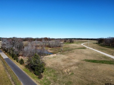 (private lake, pond, creek) Acreage For Sale in Mineola Texas