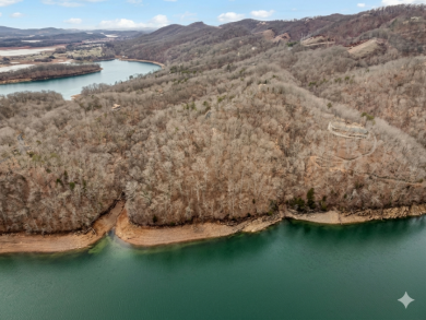Cherokee Lake Main Channel Lot - photo 9