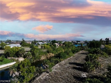 This freshwater lot in Southwest Cape Coral is located at 138 SW - photo 2