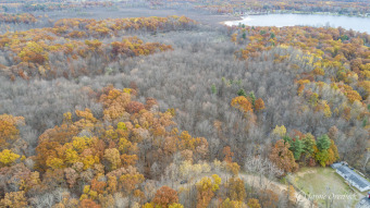 Long Lake - Ionia County Acreage For Sale in Fenwick City Michigan