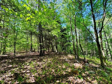 Nestled in the woods adjacent to Trough Creek State Park and - photo 4