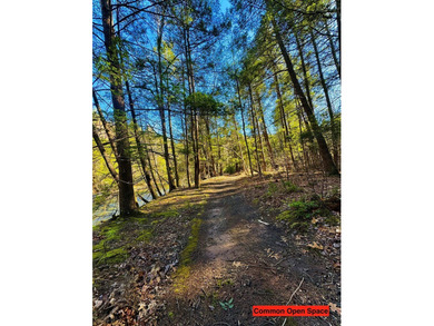 Nestled in the woods adjacent to Trough Creek State Park and - photo 8