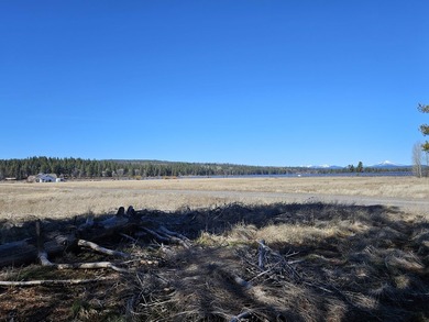 This 5-acre lot in Pine Ridge Ranches fantastic opportunity for - photo 2
