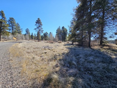 This 5-acre lot in Pine Ridge Ranches fantastic opportunity for - photo 3