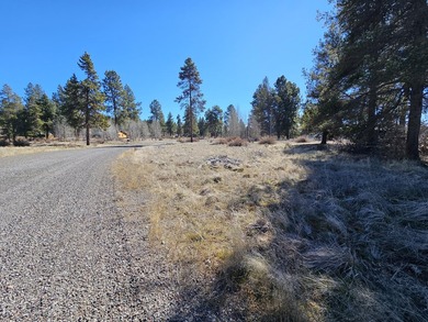 This 5-acre lot in Pine Ridge Ranches fantastic opportunity for - photo 4