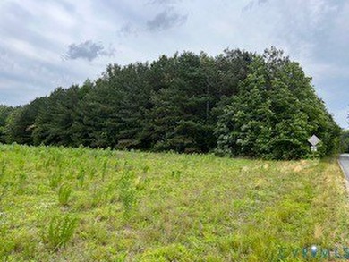 Exceptional opportunity on 19 acres featuring 3 cleared acres - photo 5