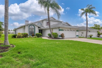 (private lake, pond, creek) Home For Sale in Bradenton Florida