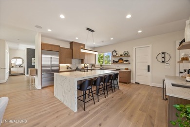 Welcome to 317 Admiral Court in Lenoir City, where modern - photo 11
