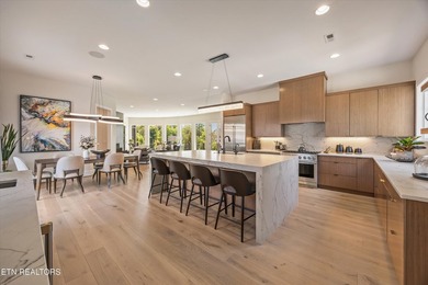 Welcome to 317 Admiral Court in Lenoir City, where modern - photo 15
