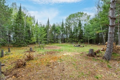 Ready, set, build! This 1.37-acre parcel is primed for your - photo 7