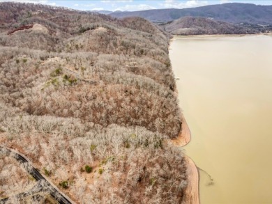 Cherokee Lake Main Channel Lot - photo 14