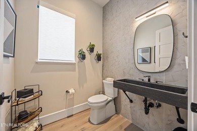 Welcome to 317 Admiral Court in Lenoir City, where modern - photo 19