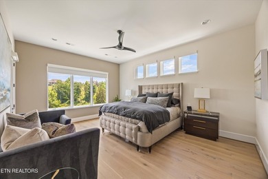 Welcome to 317 Admiral Court in Lenoir City, where modern - photo 24