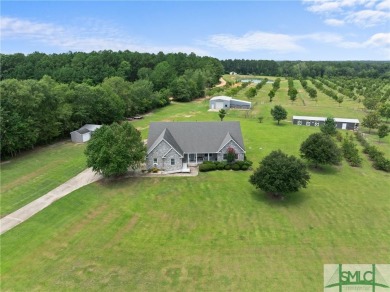 Lake Home For Sale in Cobbtown, Georgia